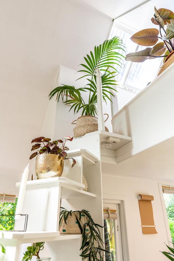 Boho Hill Waiheke Island Vila Palm Beach Exterior foto