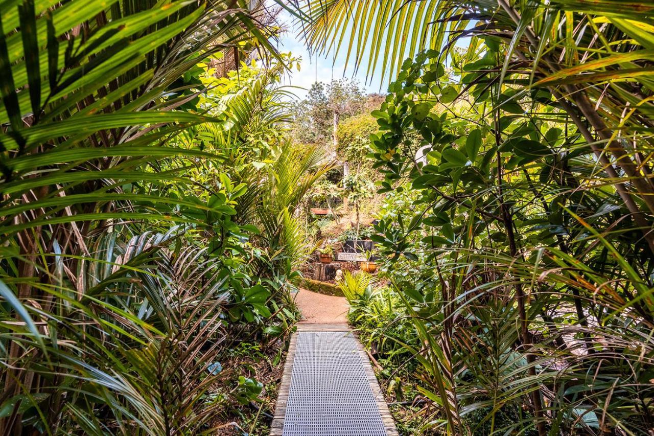Boho Hill Waiheke Island Vila Palm Beach Exterior foto
