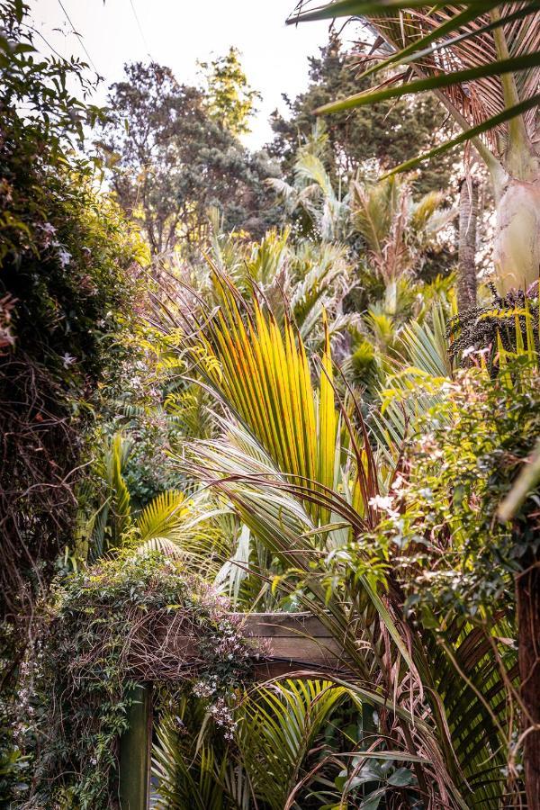 Boho Hill Waiheke Island Vila Palm Beach Exterior foto