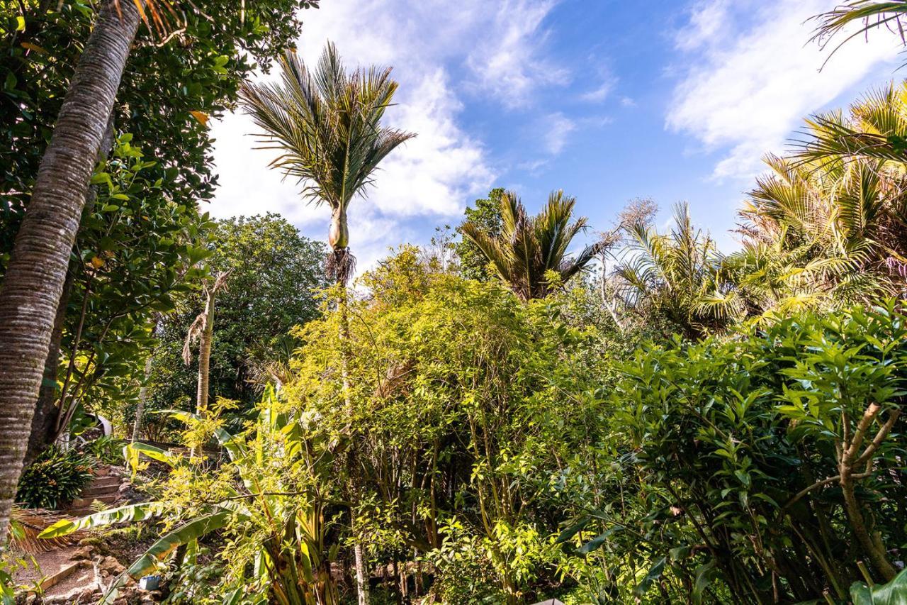 Boho Hill Waiheke Island Vila Palm Beach Exterior foto