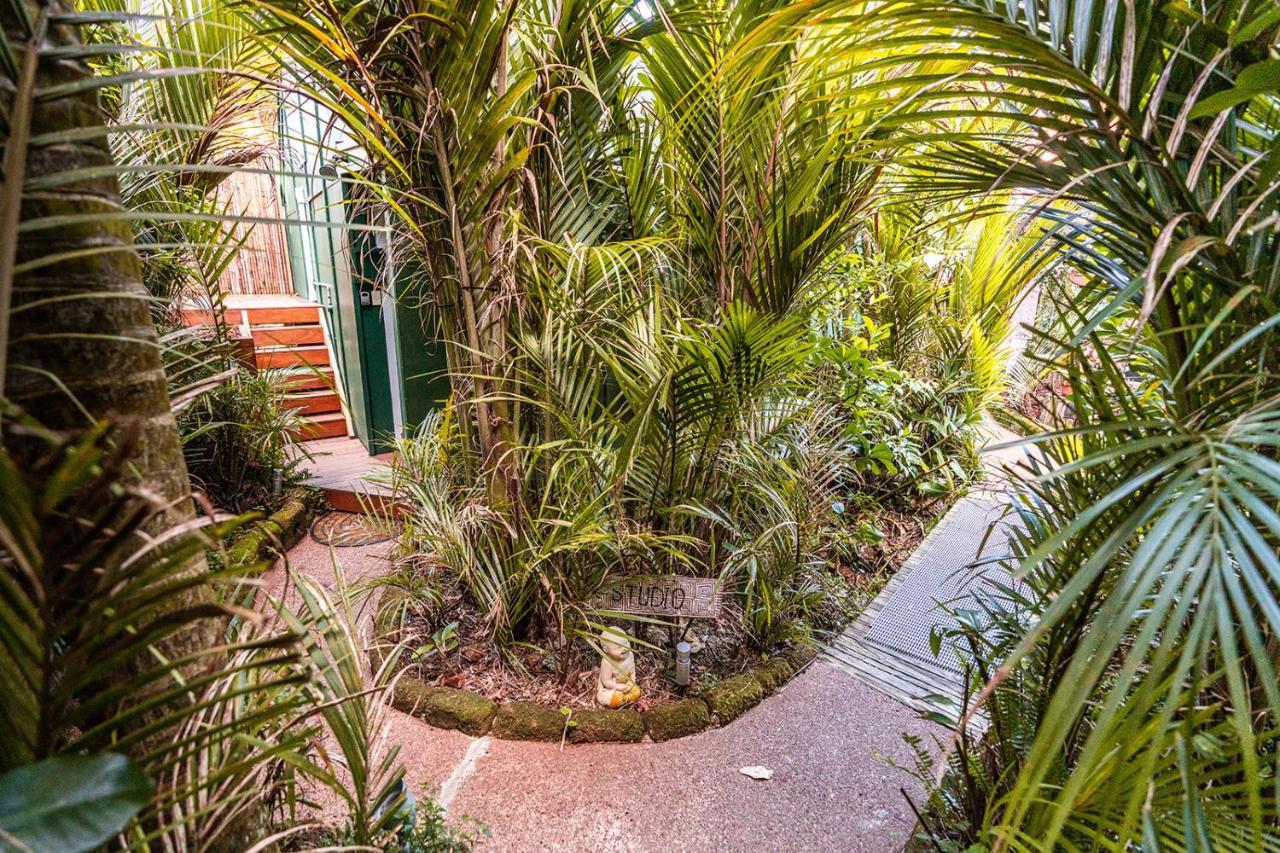 Boho Hill Waiheke Island Vila Palm Beach Exterior foto